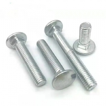 Carriage  bolt