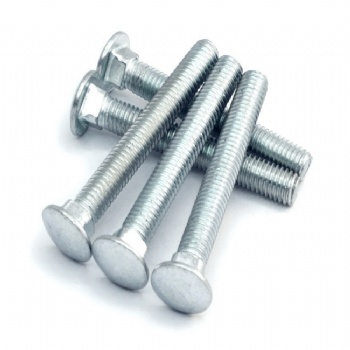 Carriage  bolt